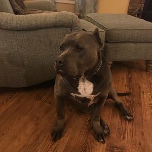 Meet your Posher, Barry